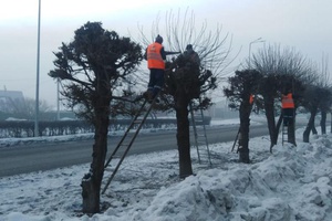 Готовь сани летом, а деревья обрезай … в феврале