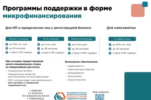 Микрофинансирование Государственного фонда поддержки предпринимательства Кузбасса