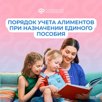 При назначении единого пособия алименты учитываются в доход семьи