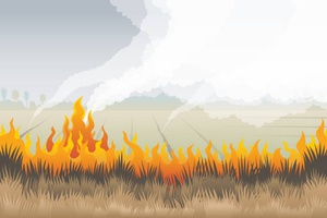 Запретить, чтобы сохранить