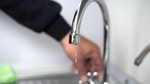 Информация для бачатцев