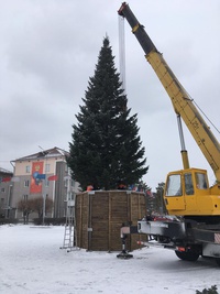 Новогоднюю ель установили на Центральной площади города