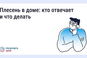 «Госуслуги Дом» решает проблемы