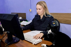 В  Всемирный день бездомных животных. Сегодня поделимся с вами по‑настоящему теплой историей о том, как в строгом ритме полицейских будней нашлось место доброте и заботе, а в отделе МВД России «Беловский» появился свой пушистый талисман.