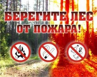 Внимание! Лесные пожары!