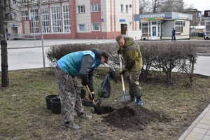 Ели с родины космонавта