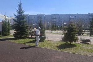 Внимание, противоклещевая обработка!