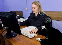 В  Всемирный день бездомных животных. Сегодня поделимся с вами по‑настоящему теплой историей о том, как в строгом ритме полицейских будней нашлось место доброте и заботе, а в отделе МВД России «Беловский» появился свой пушистый талисман.
