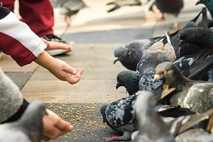 Прокуратура разъясняет