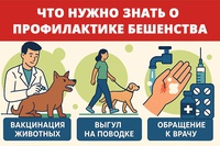 Только профилактика