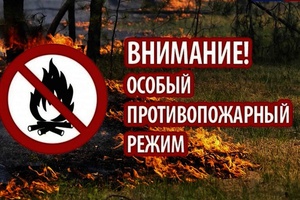 С 15 апреля в Кузбассе вводится особый противопожарный режим.