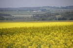 Кузбасские аграрии возместили более 28 млн рублей,
