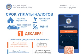 Осень - время платить налоги