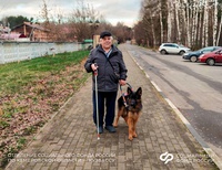Житель Кузбасса с инвалидностью по зрению получил от регионального Отделения СФР собаку-проводника