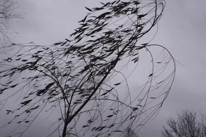 Погода разбушевалась