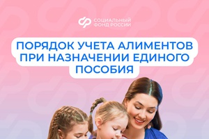 При назначении единого пособия алименты учитываются в доход семьи