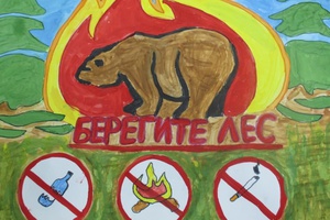 Школьники Кузбасса могут принять участие в областном конкурсе «Сохраним леса от пожаров!»