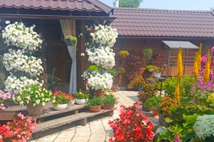 Уют своими руками