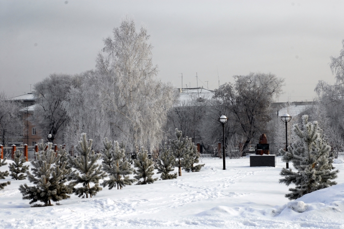 какая площадь города белово